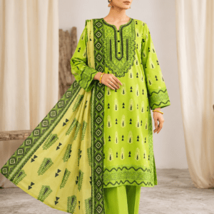 Luxury Stitched Lawn 3-Piece Suit by Bin Anwar – Premium Digital Printed A-Line Pret (Stitched)